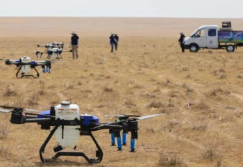 Шегірткеге қарсы қандай шаралар атқарылып жатыр?