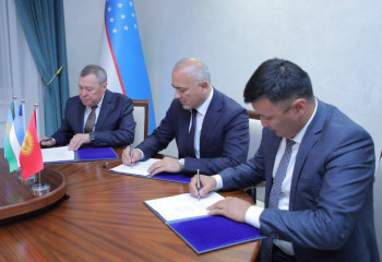 Казахстан, Узбекистан и Кыргызстан объединяются для борьбы с саранчой