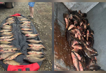 В Бурабае задержали браконьеров с 178 кг карпа