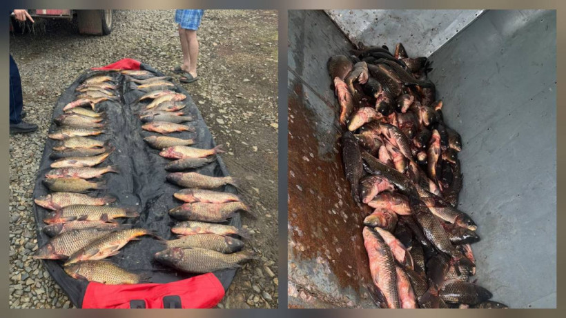  © ДП Акмолинской области 