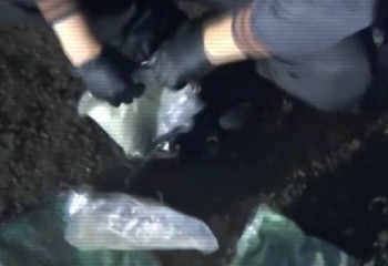 На трассе под Астаной задержан курьер с 1,5 кг синтетических наркотиков