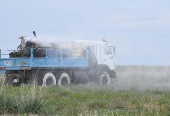 Шегірткемен күрес: Ақтөбе облысында зиянкестерге қарсы химиялық өңдеу жалғасуда