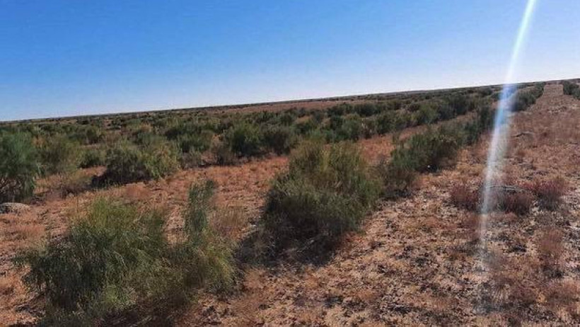  Официальный telegram-канал Акимата Мангистауской области 