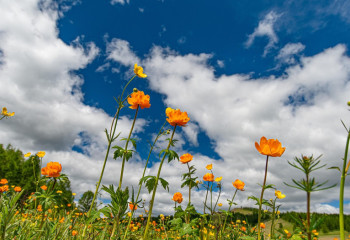 Елімізде демалыс күндері ауа райы қандай болады