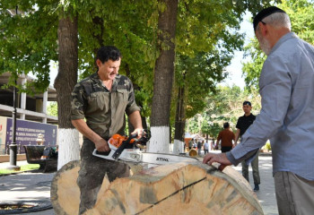 Шымкентте ағаш шеберлерінің халықаралық фестивалі басталды