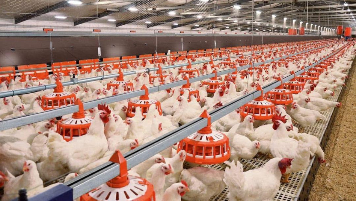  © Пресс-служба акимата Туркестанской области 