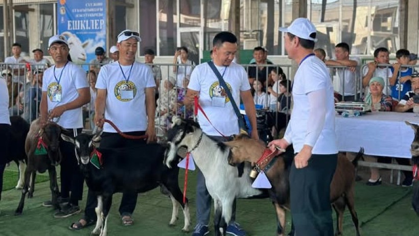  Өңірлік коммуникациялар қызметі 