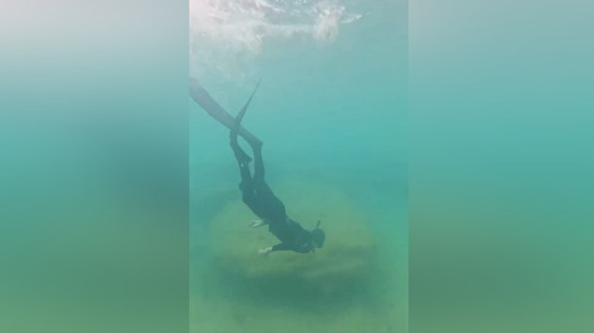  скриншот видео 