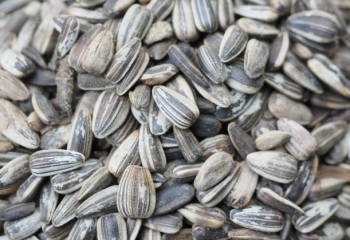 Петропавлда екі жасар бала шемішкеге қақалып қайтыс болды