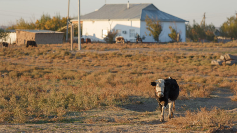  © El.kz / Артем ЧУРСИНОВ 