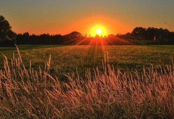 43 градус ыстық: 17 маусымға арналған ауа райы болжамы