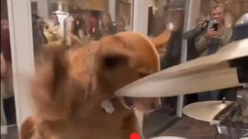  Кадр из видео 