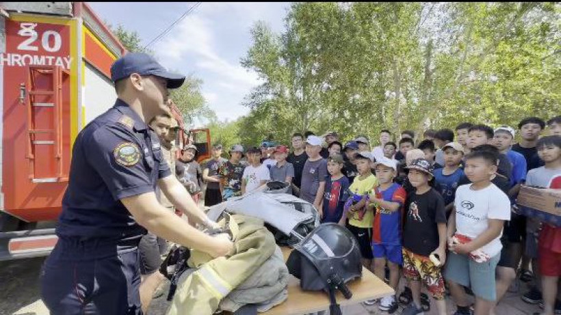  Видеодан кадр 