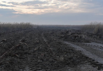 «Ақжайық» резерватындағы өрт: 50 шақырым минералды жолақ жыртылды