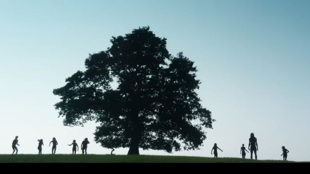  скриншот видео 