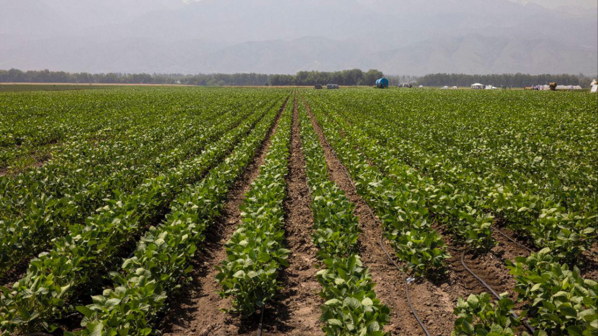  Ұлттық ғылым академиясының баспасөз қызметі 