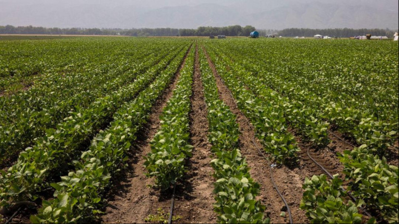  Жетісу облысының әкімдігі 