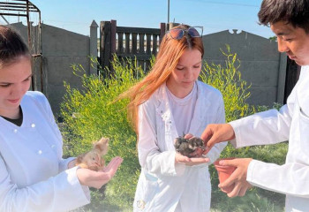 Павлодарлық студенттер сирек кездесетін құс түрлерін өсіреді