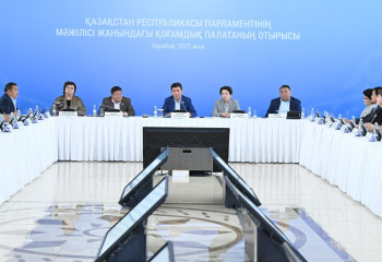 Обратить внимание на работу общественных советов предложил Спикер Мажилиса