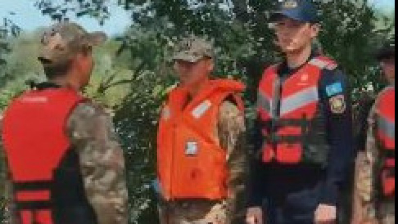  видеодан кадр 