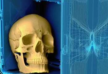 Әйел күйеуінің бас сүйегімен саяхатқа шыққан