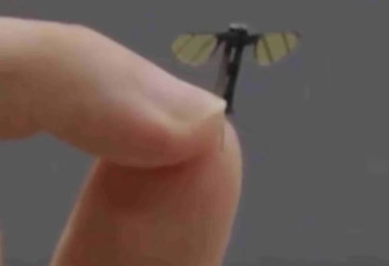 China creates mosquito-sized microdrone