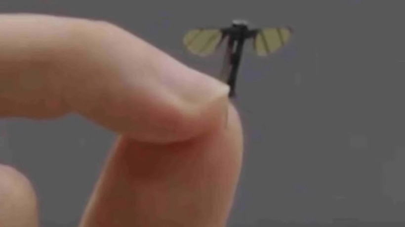  screenshot from video 