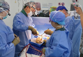 Шымкентте үшінші рет жүрек трансплантациясы сәтті жасалды