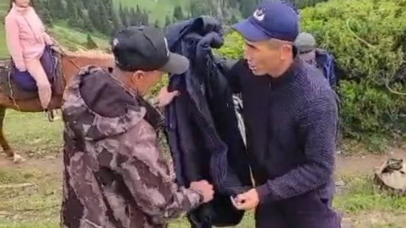  Видеодан кадр 