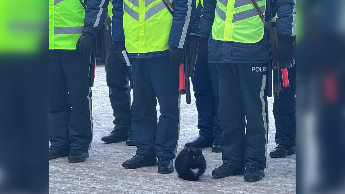  © Пресс-служба ДП ВКО 