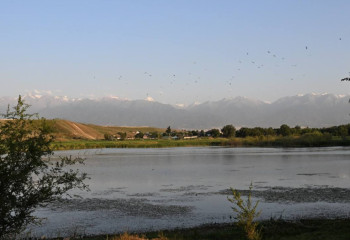 В Алатауском районе Алматы обновят пять плотин и расчистят реку Джигитовка