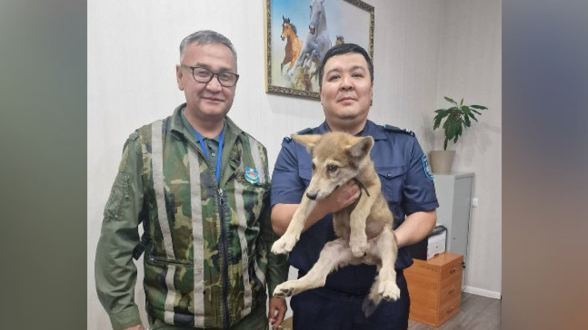  Албина Ахметова / Facebook 