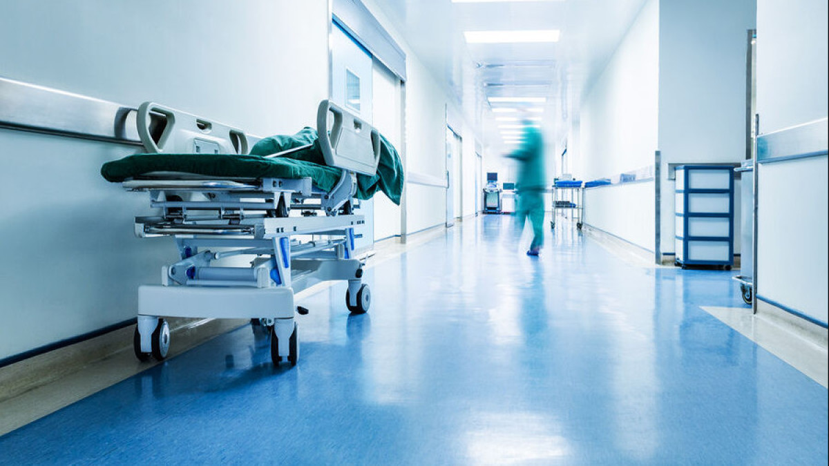  Shutterstock/FOTODOM 