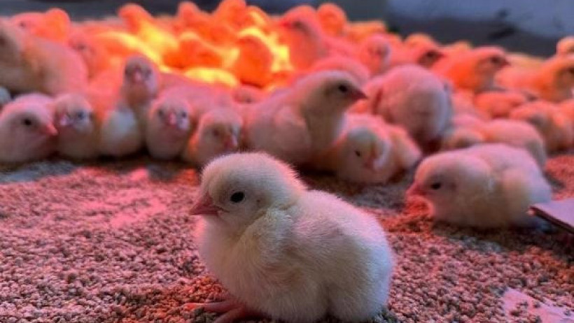  © Пресс-служба акимата Карагандинской области 