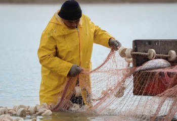 Большой улов: 2 800 тонн рыбы экспортировали из Атырауской области в этом году