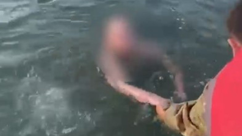  Кадр из видео 