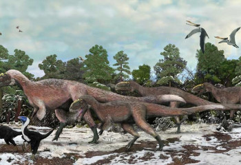 Ученые развенчали мифы о самом популярном динозавре