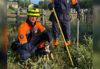 Три дня в яме: спасатели МЧС выручили щенка
