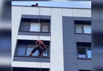 Застрявшую в окне кошку спасли сотрудники МЧС
