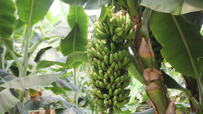  © El.kz/Жансая АҚБАЛА 