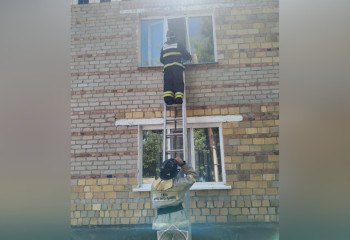 В СКО спасатели через окно помогли пожилой женщине