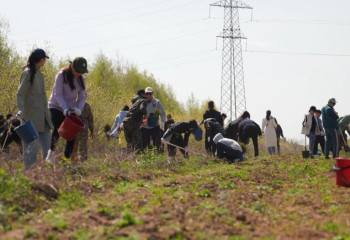«Таза Қазақстан»: Ұлытауда акция аясында 2017 тонна қоқыс шығарылды