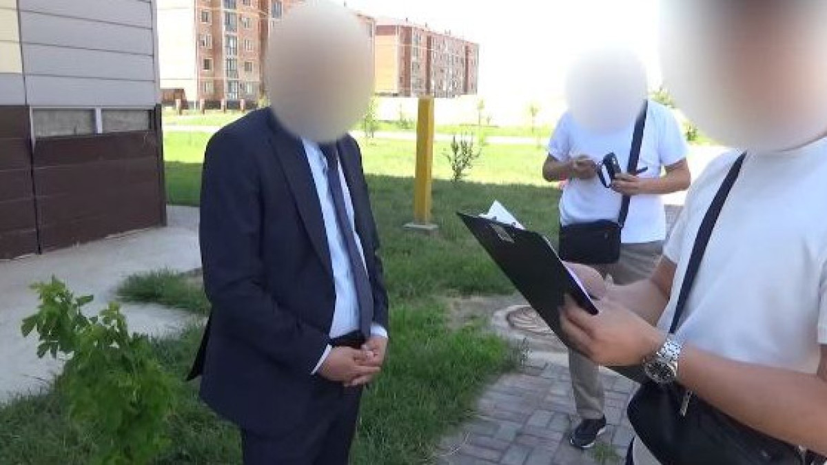  Видеодан кадр 