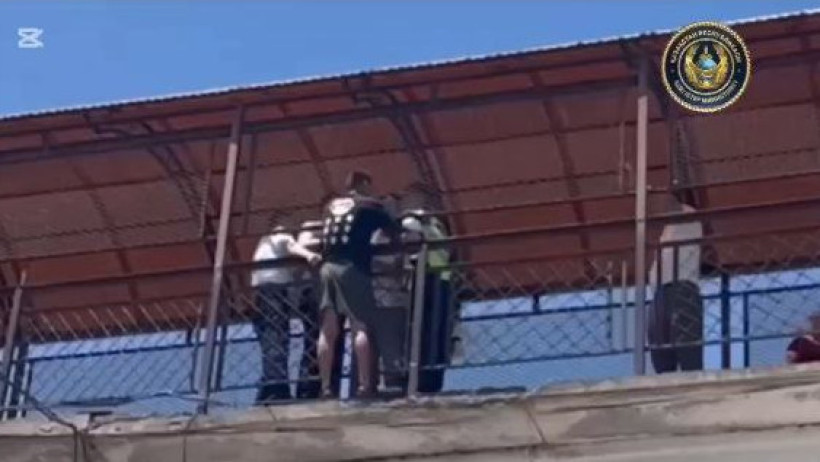  Видеодан кадр 