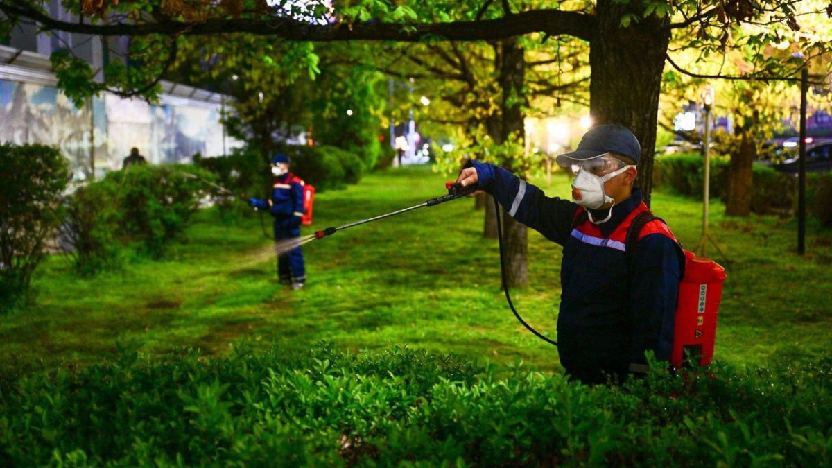  Алматы қаласы әкімдігі 