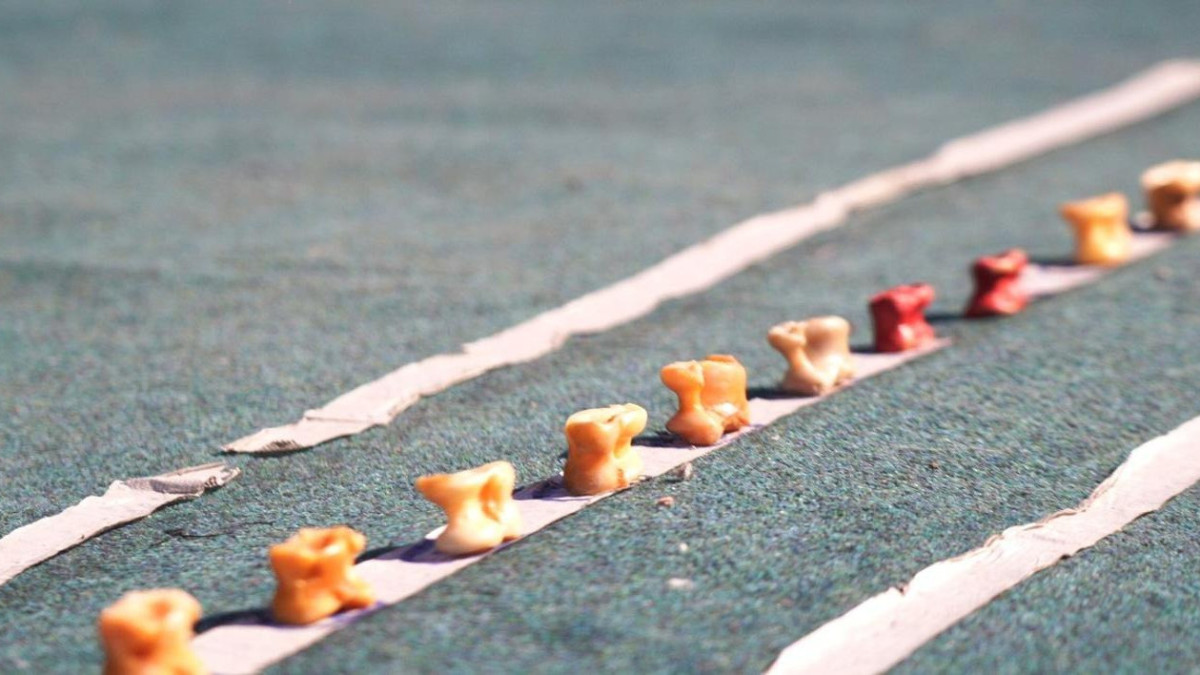  © Пресс-служба акимата Астаны 