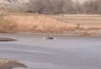 Трагедия в Таджикистане: женщина с четырьмя детьми бросилась в реку, когда муж сообщил о другой