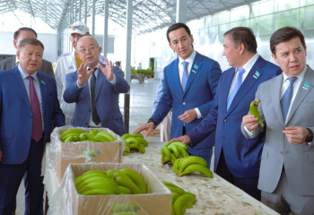 Мәжіліс депутаттары Түркістан облысындағы шаруалармен жүздесті