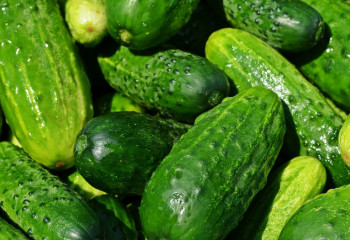 Күн сайын қияр жеудің 5 пайдасы