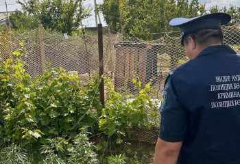 Атырау облысында аудан тұрғынынан 16 келі қарасора тәркіленді